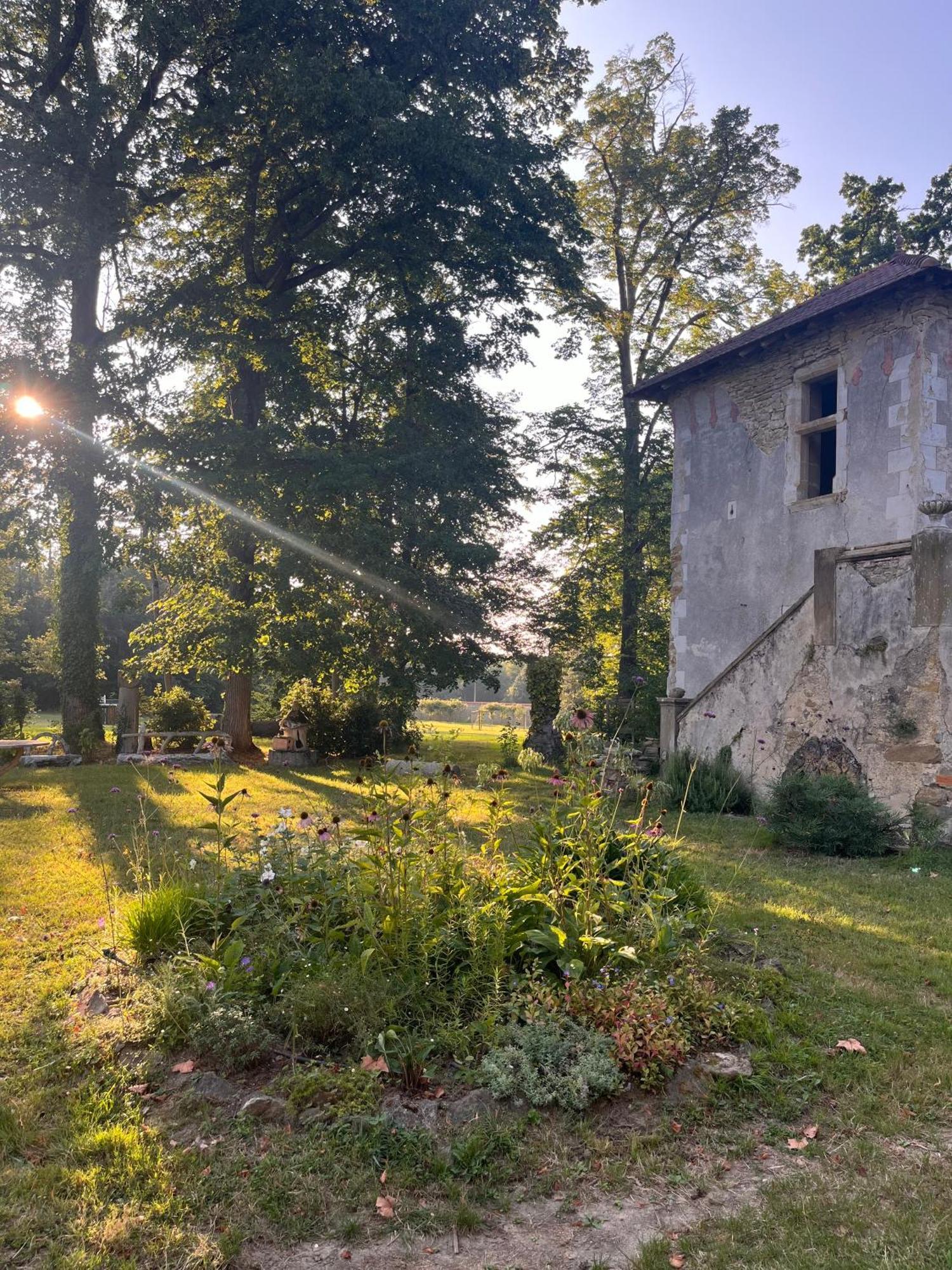 Lagarde  Chateau De Sibra מראה חיצוני תמונה